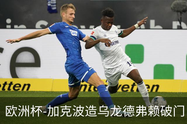 欧洲杯-加克波造乌龙德弗赖破门 荷兰2-1土耳其